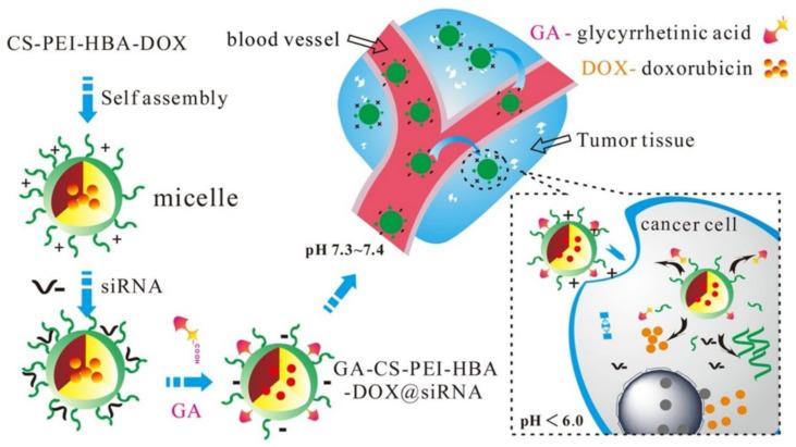 https://cdn.ncbi.nlm.nih.gov/pmc/blobs/8172/10780101/b3696fc38d5f/molecules-29-00031-g007.jpg