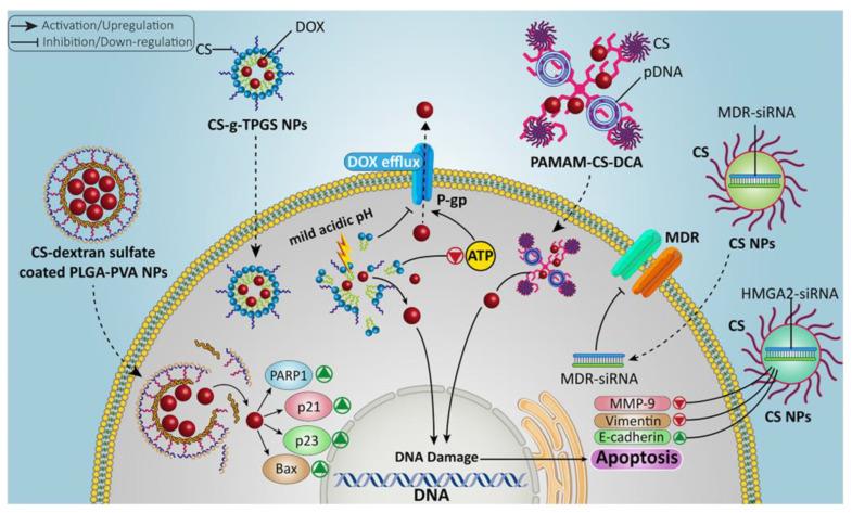 https://cdn.ncbi.nlm.nih.gov/pmc/blobs/8172/10780101/d6cbcee9a67d/molecules-29-00031-g006.jpg