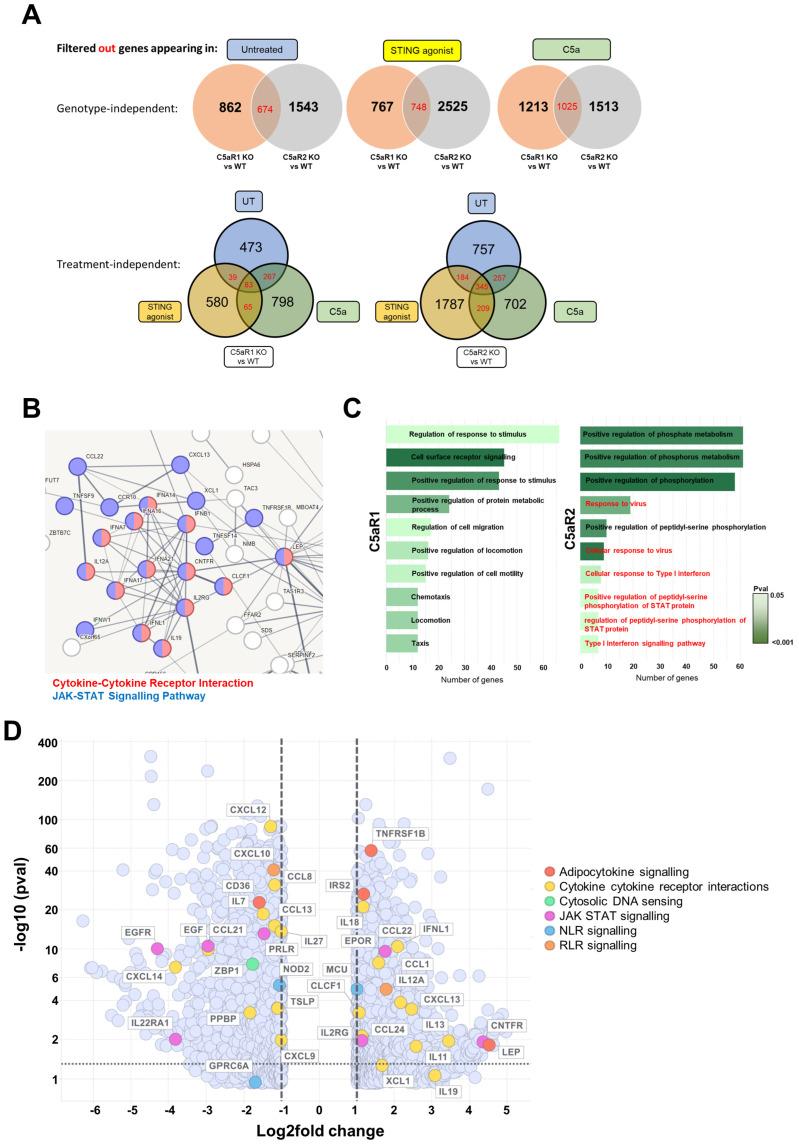 https://cdn.ncbi.nlm.nih.gov/pmc/blobs/8176/10706378/0ef946c2fd01/cells-12-02707-g005.jpg