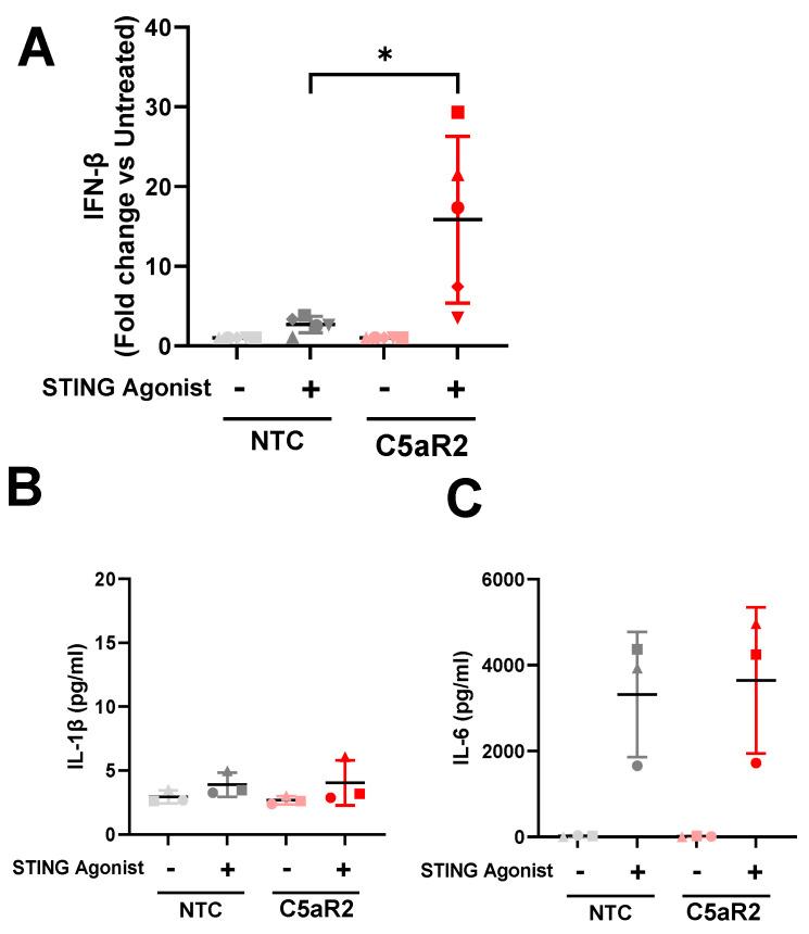 https://cdn.ncbi.nlm.nih.gov/pmc/blobs/8176/10706378/e0881a9602dc/cells-12-02707-g004a.jpg