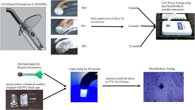 https://cdn.ncbi.nlm.nih.gov/pmc/blobs/8176/11439374/d3669512fd60/peerj-12-18021-g001.jpg