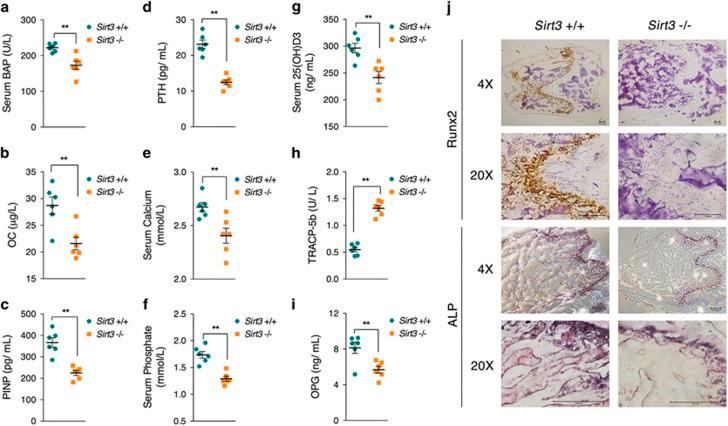 https://cdn.ncbi.nlm.nih.gov/pmc/blobs/8178/5762839/aa2bca4376ef/cdd2017144f7.jpg