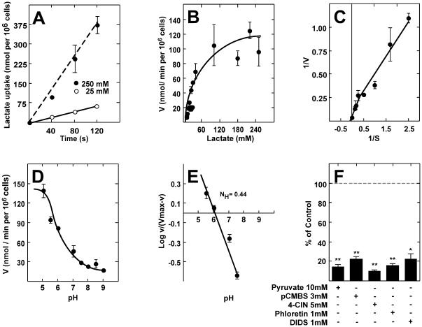 https://cdn.ncbi.nlm.nih.gov/pmc/blobs/8179/3030577/05b8b300d576/pone.0016411.g006.jpg