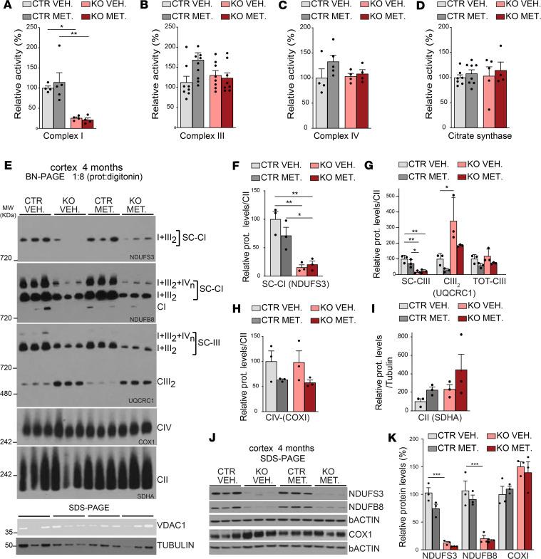 https://cdn.ncbi.nlm.nih.gov/pmc/blobs/817a/7710273/28b2a5b437cf/jciinsight-5-141183-g107.jpg