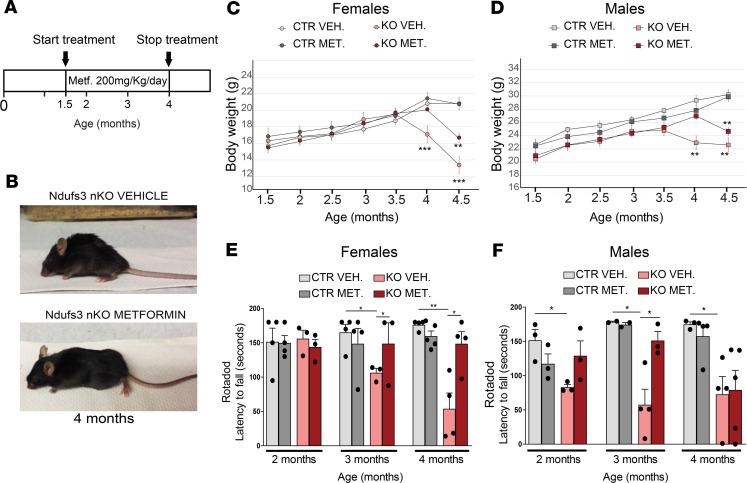https://cdn.ncbi.nlm.nih.gov/pmc/blobs/817a/7710273/c0466ce10f3f/jciinsight-5-141183-g105.jpg