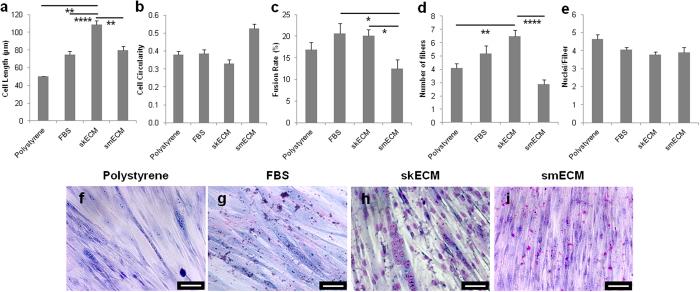 https://cdn.ncbi.nlm.nih.gov/pmc/blobs/817b/5292742/81d89f9721e2/srep41934-f5.jpg