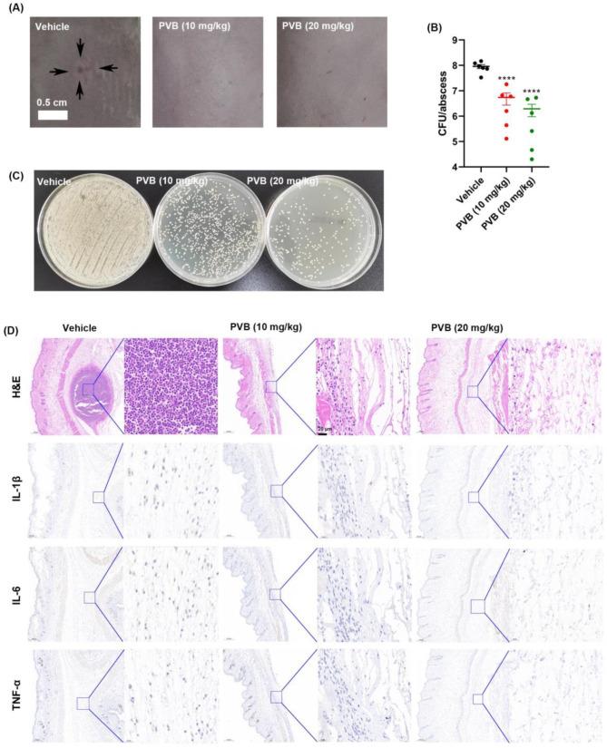 https://cdn.ncbi.nlm.nih.gov/pmc/blobs/817c/11668715/0c3759bbbd50/13568_2024_1809_Fig7_HTML.jpg