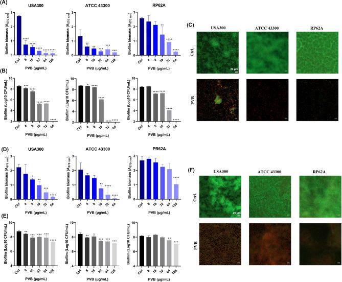 https://cdn.ncbi.nlm.nih.gov/pmc/blobs/817c/11668715/8973f57bb9bd/13568_2024_1809_Fig3_HTML.jpg