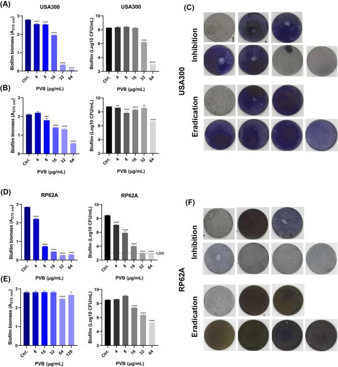 https://cdn.ncbi.nlm.nih.gov/pmc/blobs/817c/11668715/b791cfbabddb/13568_2024_1809_Fig4_HTML.jpg