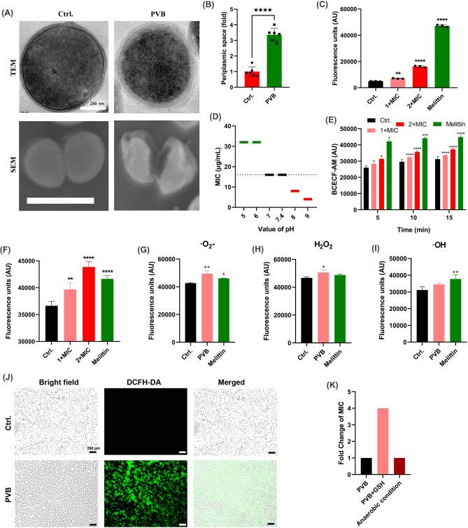 https://cdn.ncbi.nlm.nih.gov/pmc/blobs/817c/11668715/d4ea4020eb89/13568_2024_1809_Fig5_HTML.jpg