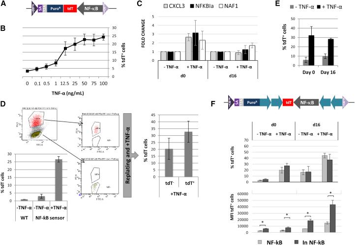 https://cdn.ncbi.nlm.nih.gov/pmc/blobs/817e/4649136/0e478e093611/gr5.jpg