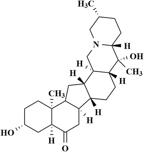 https://cdn.ncbi.nlm.nih.gov/pmc/blobs/817f/12162304/6532893b69a3/fphar-16-1595731-g001.jpg