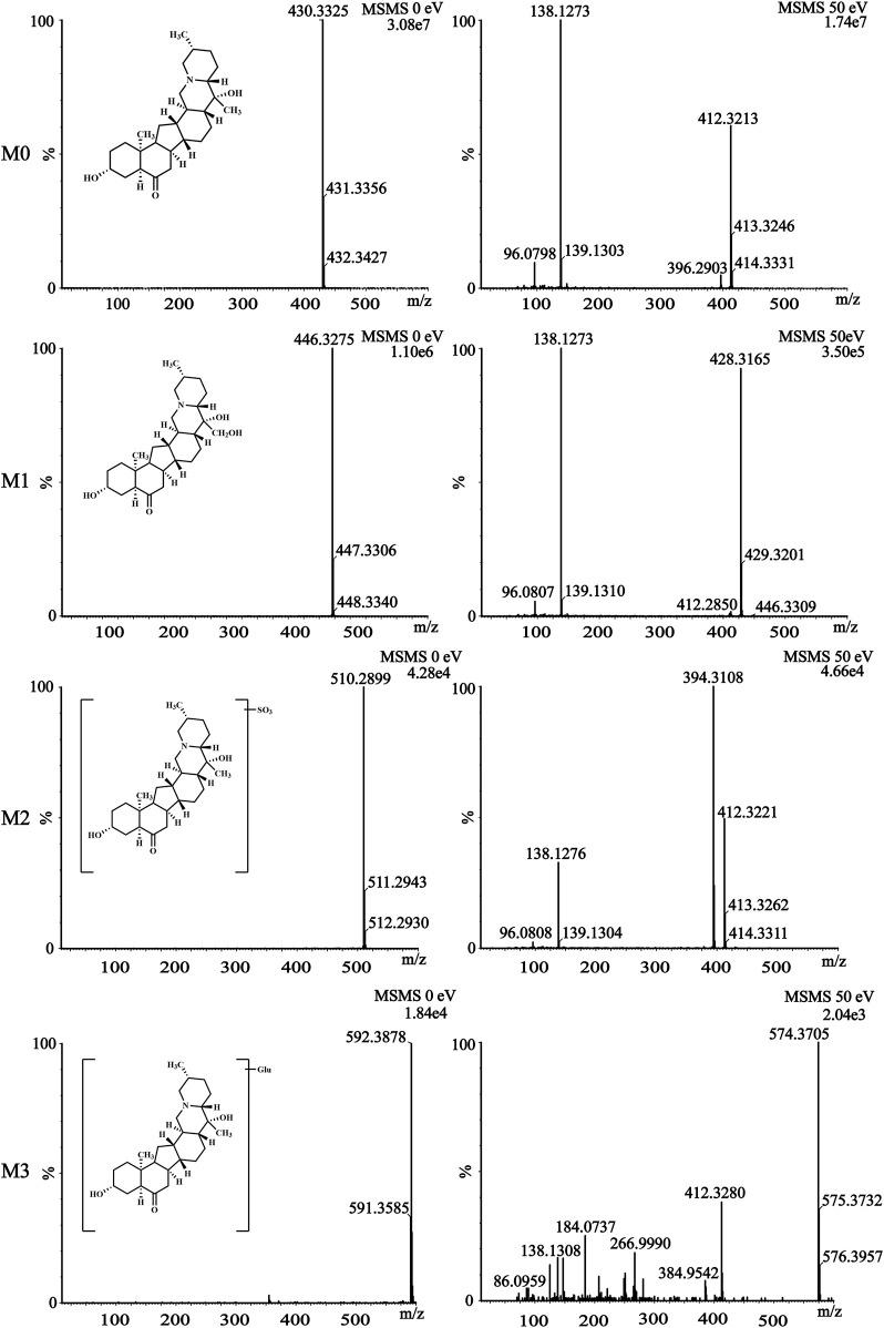 https://cdn.ncbi.nlm.nih.gov/pmc/blobs/817f/12162304/c4ed1bd8c356/fphar-16-1595731-g004.jpg