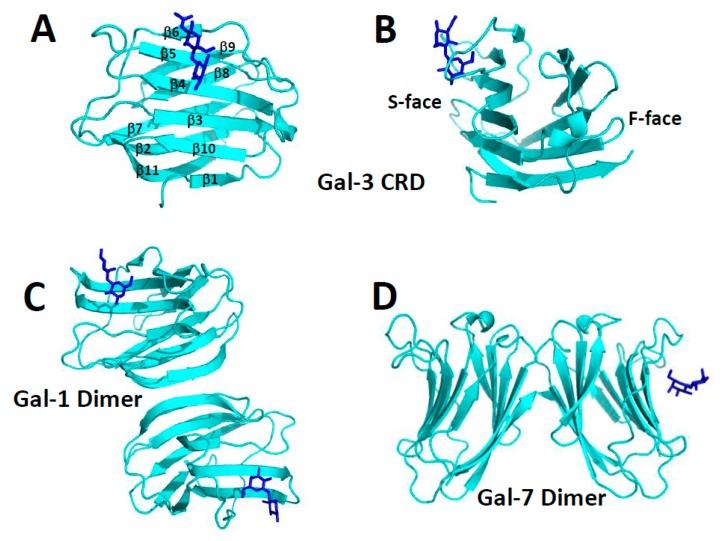 https://cdn.ncbi.nlm.nih.gov/pmc/blobs/817f/5877766/57db6c234353/ijms-19-00905-g001.jpg
