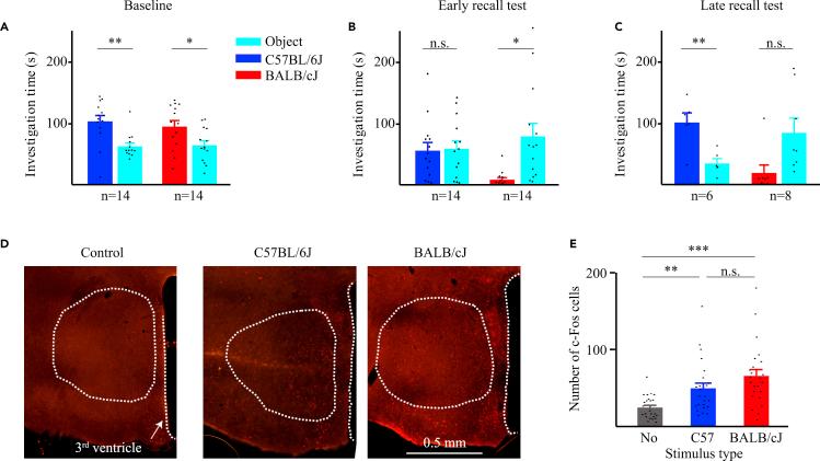 https://cdn.ncbi.nlm.nih.gov/pmc/blobs/8181/9852926/734f6e397632/gr5.jpg