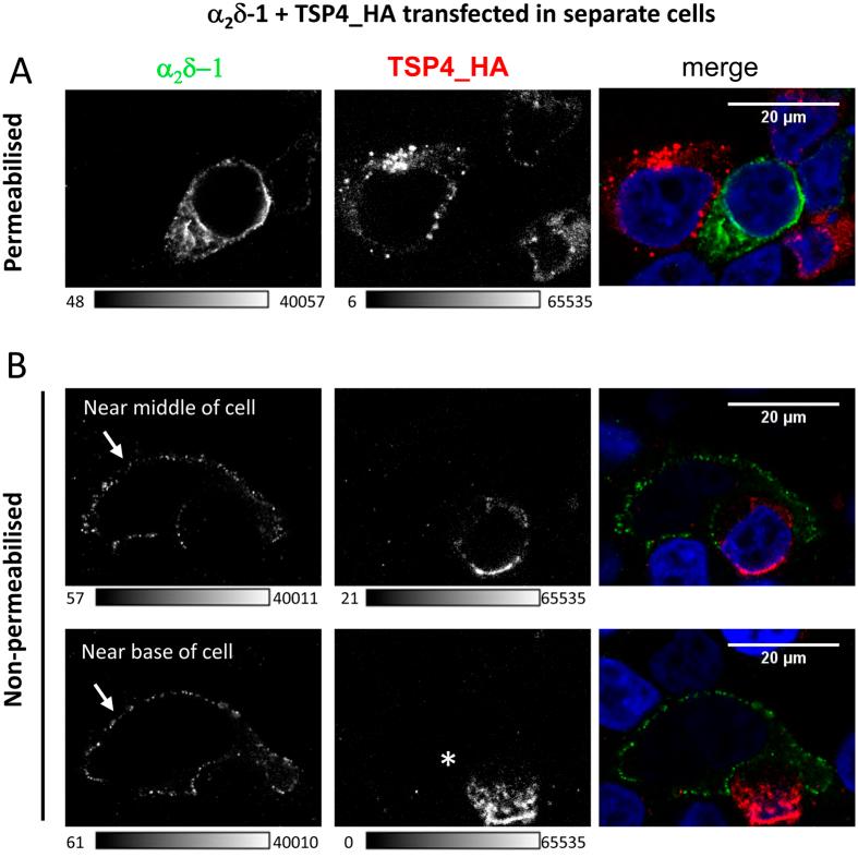 https://cdn.ncbi.nlm.nih.gov/pmc/blobs/8182/4830977/0471c2e6660a/srep24531-f7.jpg