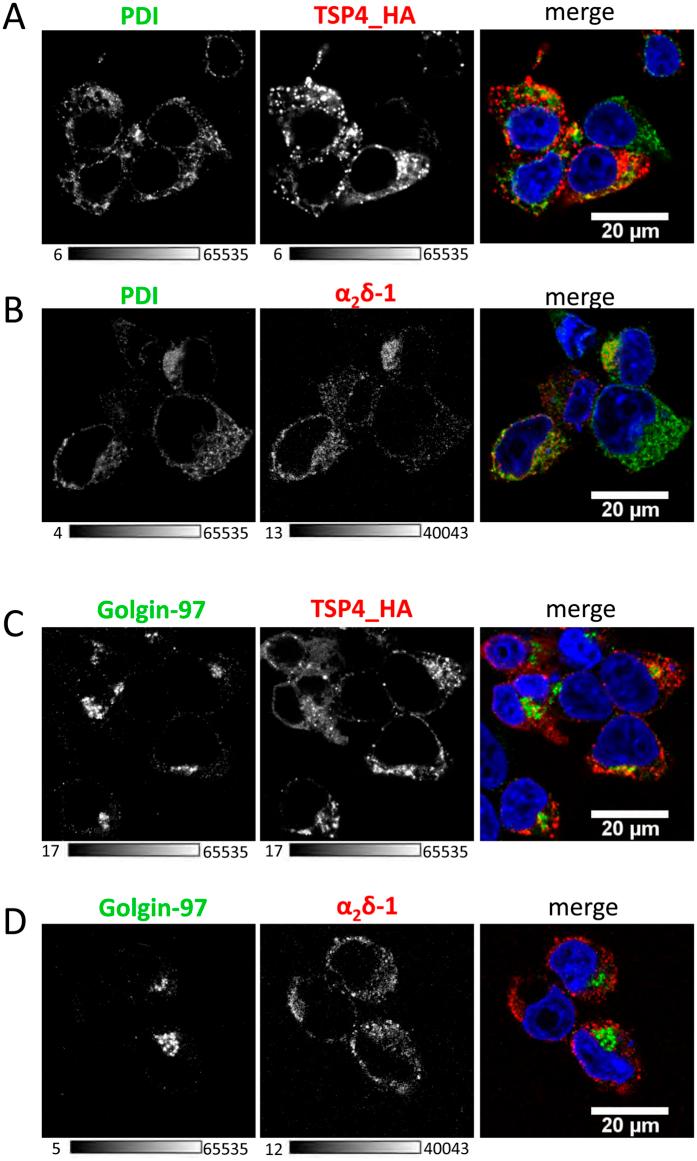 https://cdn.ncbi.nlm.nih.gov/pmc/blobs/8182/4830977/c0774a1ce477/srep24531-f8.jpg