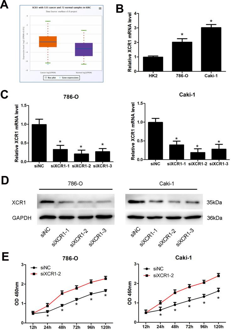 https://cdn.ncbi.nlm.nih.gov/pmc/blobs/8182/7521023/cb35fb4409c0/CMAR-12-4017-g0006.jpg