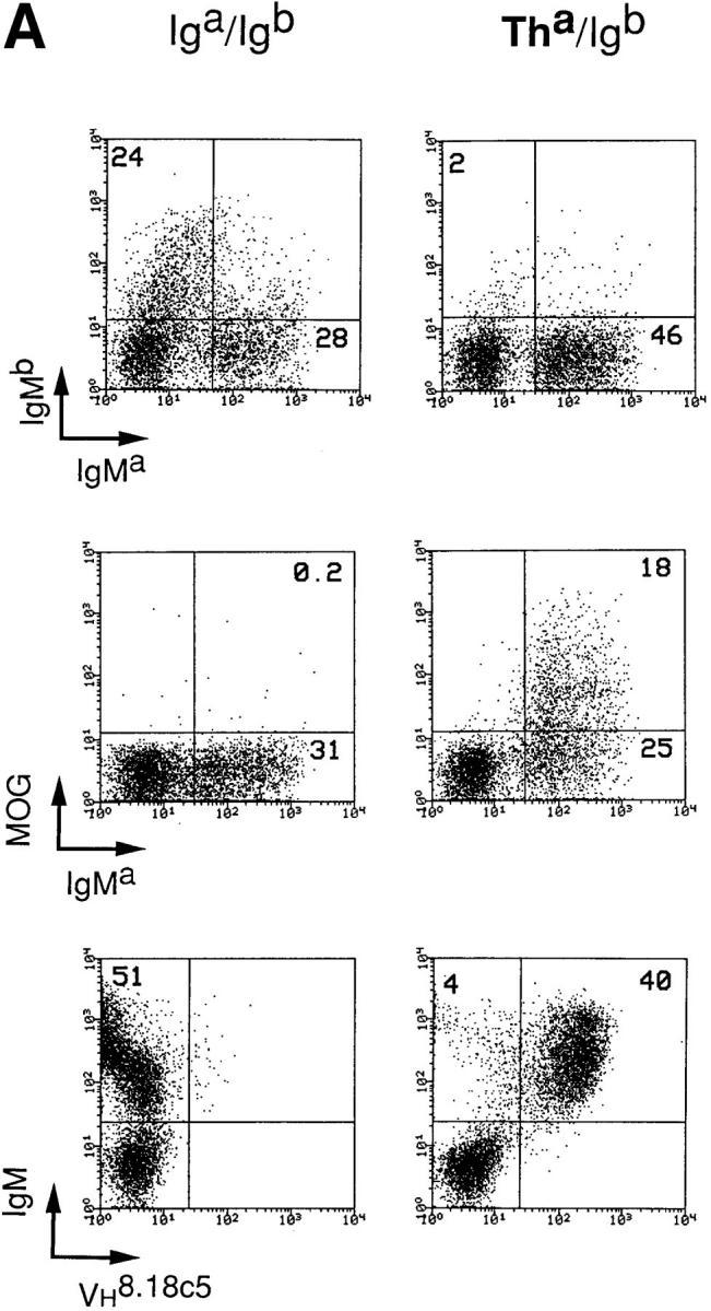 https://cdn.ncbi.nlm.nih.gov/pmc/blobs/8184/2525547/be8136813a98/JEM980291.f3a.jpg