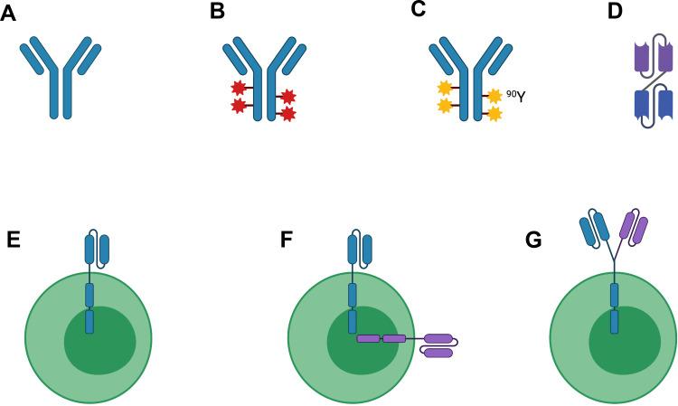 https://cdn.ncbi.nlm.nih.gov/pmc/blobs/8184/8275043/687358407f73/ITT-10-225-g0001.jpg