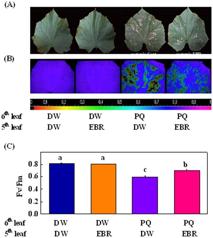 https://cdn.ncbi.nlm.nih.gov/pmc/blobs/8185/3686678/122e86e0b7af/pone.0066582.g001.jpg
