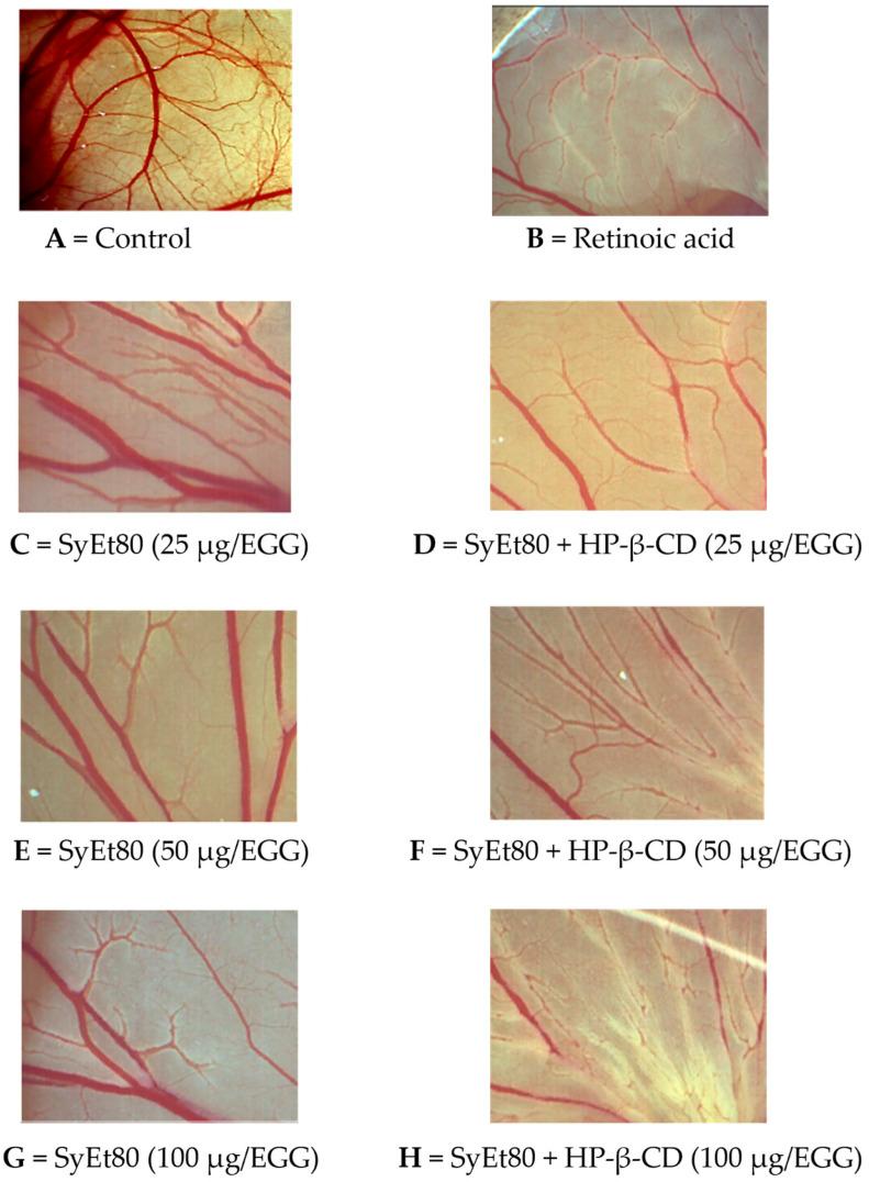 https://cdn.ncbi.nlm.nih.gov/pmc/blobs/8186/12346066/b21fca91b55f/foods-14-02656-g006.jpg