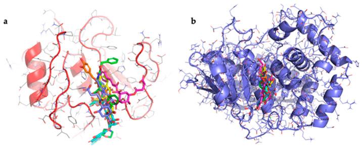 https://cdn.ncbi.nlm.nih.gov/pmc/blobs/8186/12346066/cc4d3f2bd45e/foods-14-02656-g003.jpg