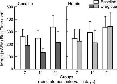 https://cdn.ncbi.nlm.nih.gov/pmc/blobs/8188/3053452/3425e8e0df26/213_2010_2088_Fig2_HTML.jpg