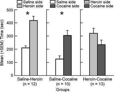 https://cdn.ncbi.nlm.nih.gov/pmc/blobs/8188/3053452/a8cd780b8af6/213_2010_2088_Fig4_HTML.jpg
