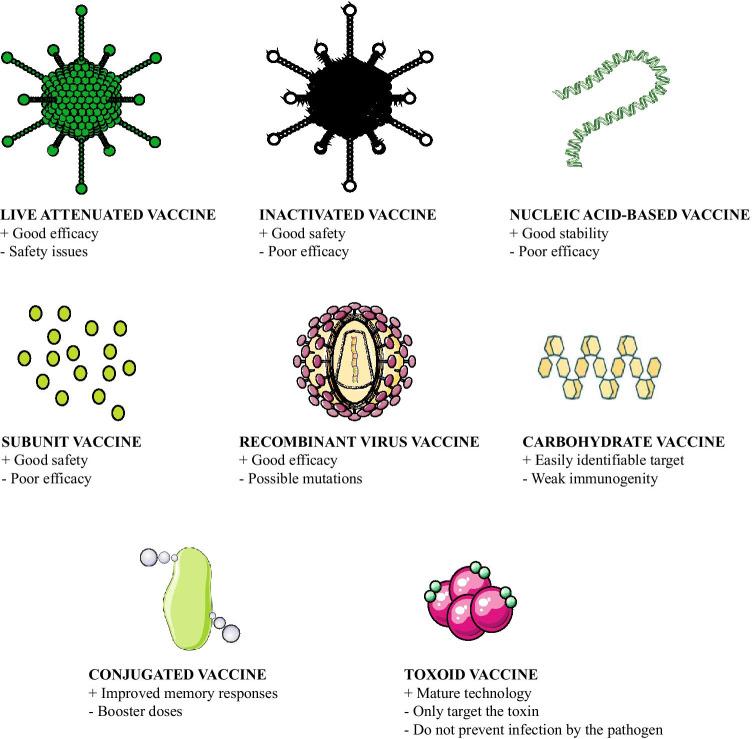 https://cdn.ncbi.nlm.nih.gov/pmc/blobs/8188/7987619/00d1f6babe0b/13346_2021_924_Fig3_HTML.jpg