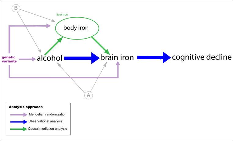 https://cdn.ncbi.nlm.nih.gov/pmc/blobs/8188/9282660/7d1163fbe9bb/pmed.1004039.g001.jpg