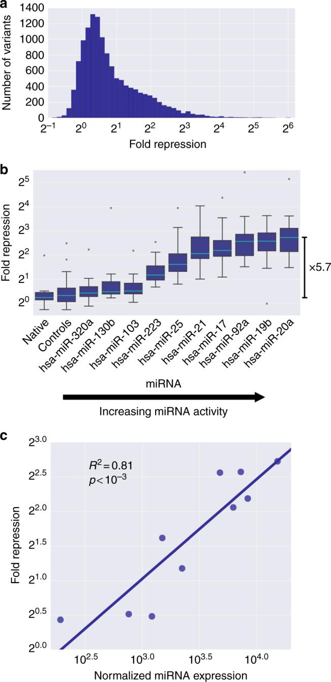 https://cdn.ncbi.nlm.nih.gov/pmc/blobs/8189/5802814/287f44cc4b23/41467_2018_2980_Fig2_HTML.jpg