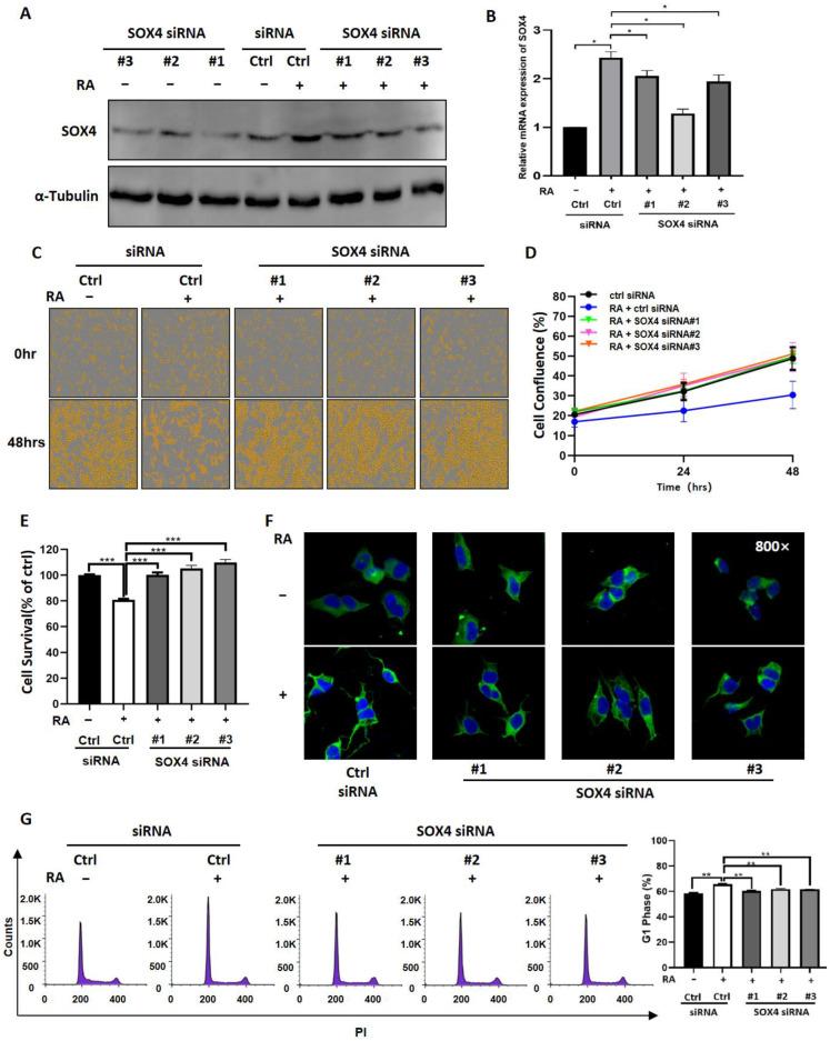 https://cdn.ncbi.nlm.nih.gov/pmc/blobs/8189/9688885/0c36eb58ad36/cancers-14-05642-g005.jpg