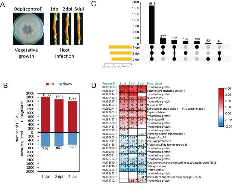 https://cdn.ncbi.nlm.nih.gov/pmc/blobs/818a/11051974/1d63fb13829b/microorganisms-12-00655-g003.jpg