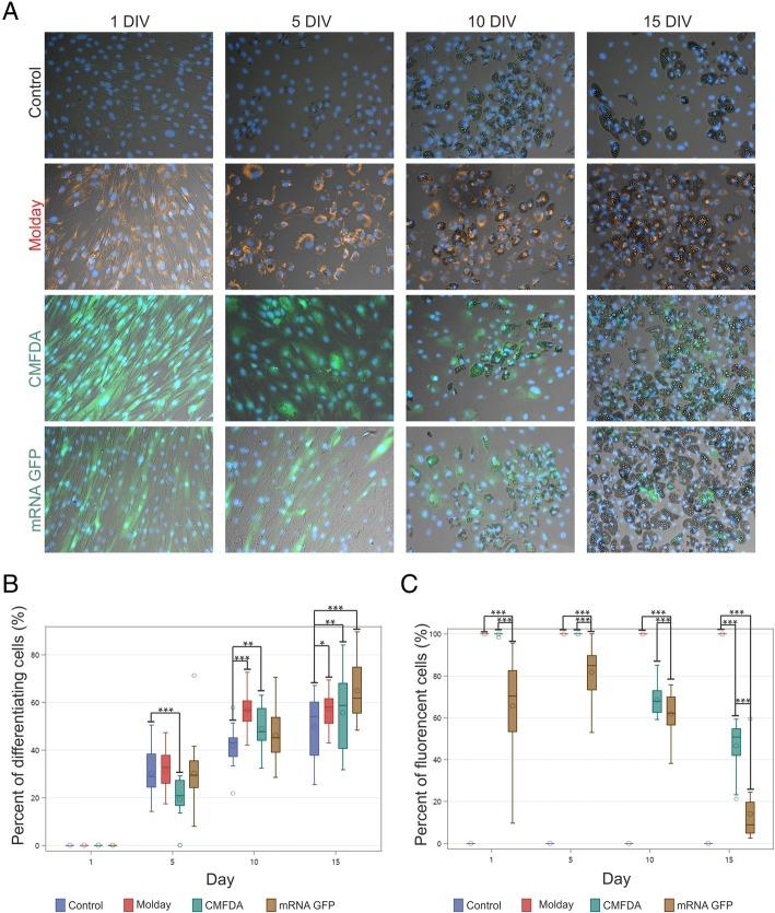 https://cdn.ncbi.nlm.nih.gov/pmc/blobs/818a/6593614/e51766d4420d/13287_2019_1296_Fig4_HTML.jpg