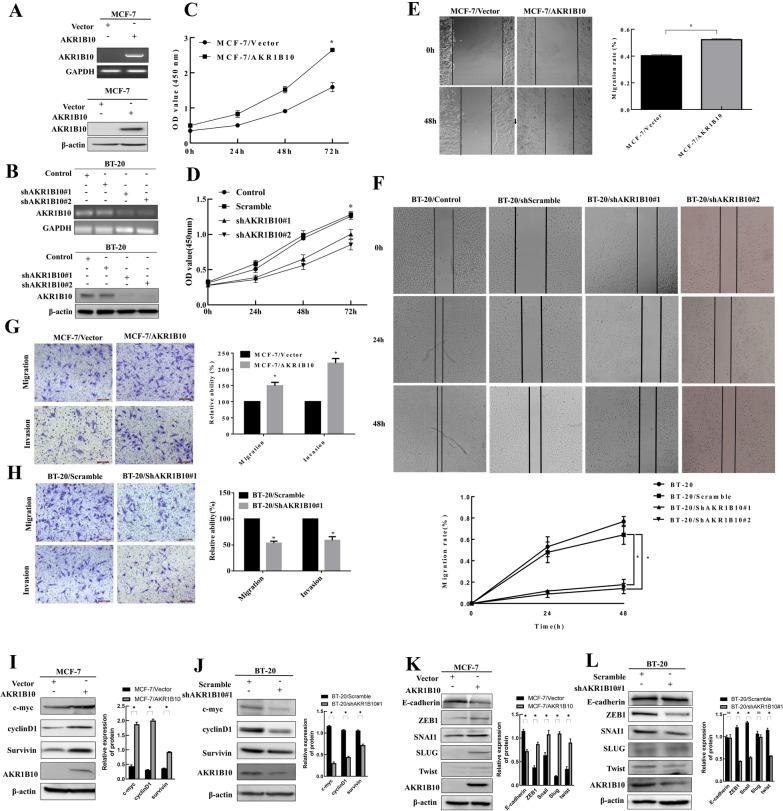 https://cdn.ncbi.nlm.nih.gov/pmc/blobs/818a/8379827/499ec87ccacd/13578_2021_677_Fig2_HTML.jpg