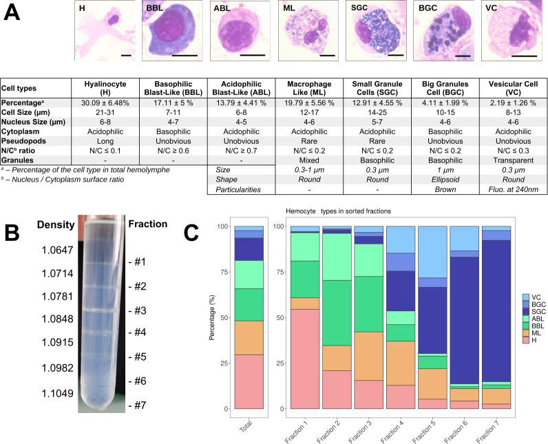 https://cdn.ncbi.nlm.nih.gov/pmc/blobs/818b/12064177/a34d6e0702d6/elife-102622-fig3.jpg