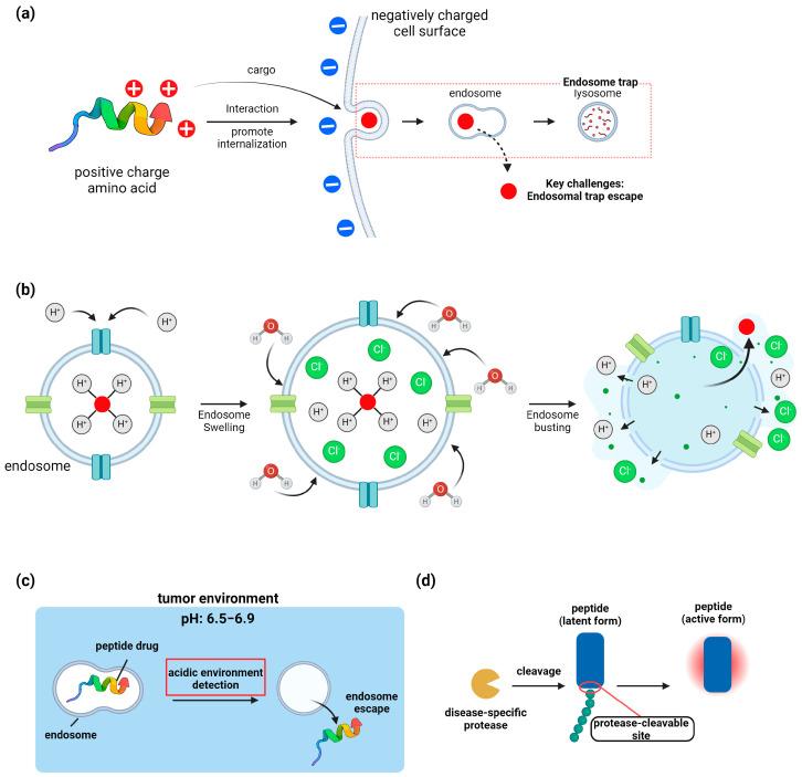 https://cdn.ncbi.nlm.nih.gov/pmc/blobs/818c/11430650/033941a43a23/biomolecules-14-01073-g004.jpg