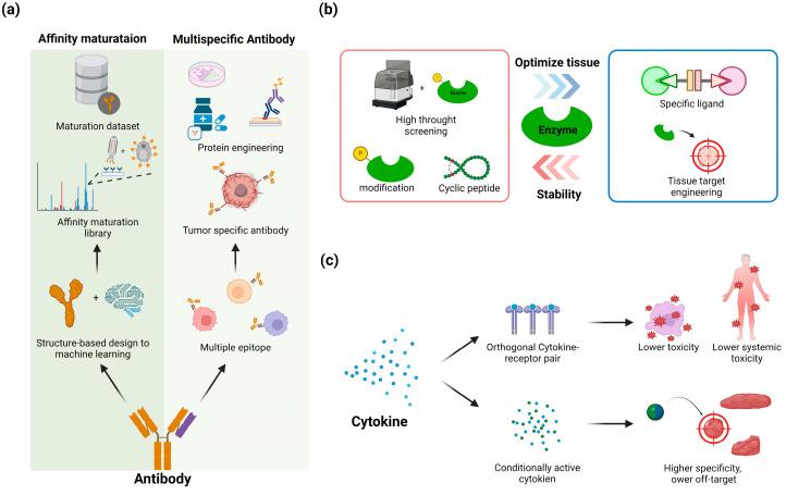 https://cdn.ncbi.nlm.nih.gov/pmc/blobs/818c/11430650/e76023f00a18/biomolecules-14-01073-g003.jpg
