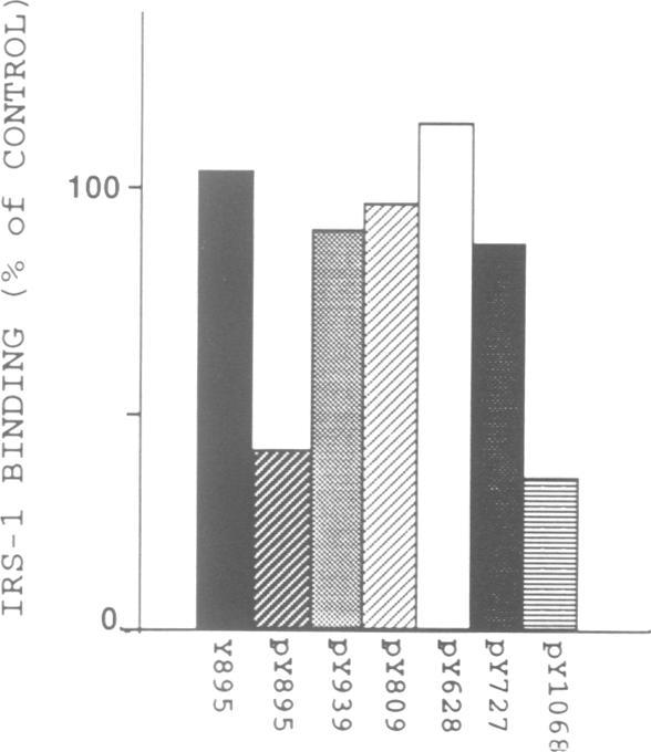 https://cdn.ncbi.nlm.nih.gov/pmc/blobs/818c/413414/84f63c771baf/emboj00077-0202-a.jpg