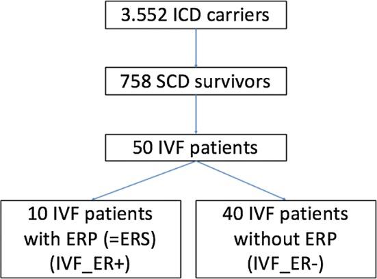 https://cdn.ncbi.nlm.nih.gov/pmc/blobs/8192/6437128/8085d57b6538/380_2018_1273_Fig1_HTML.jpg