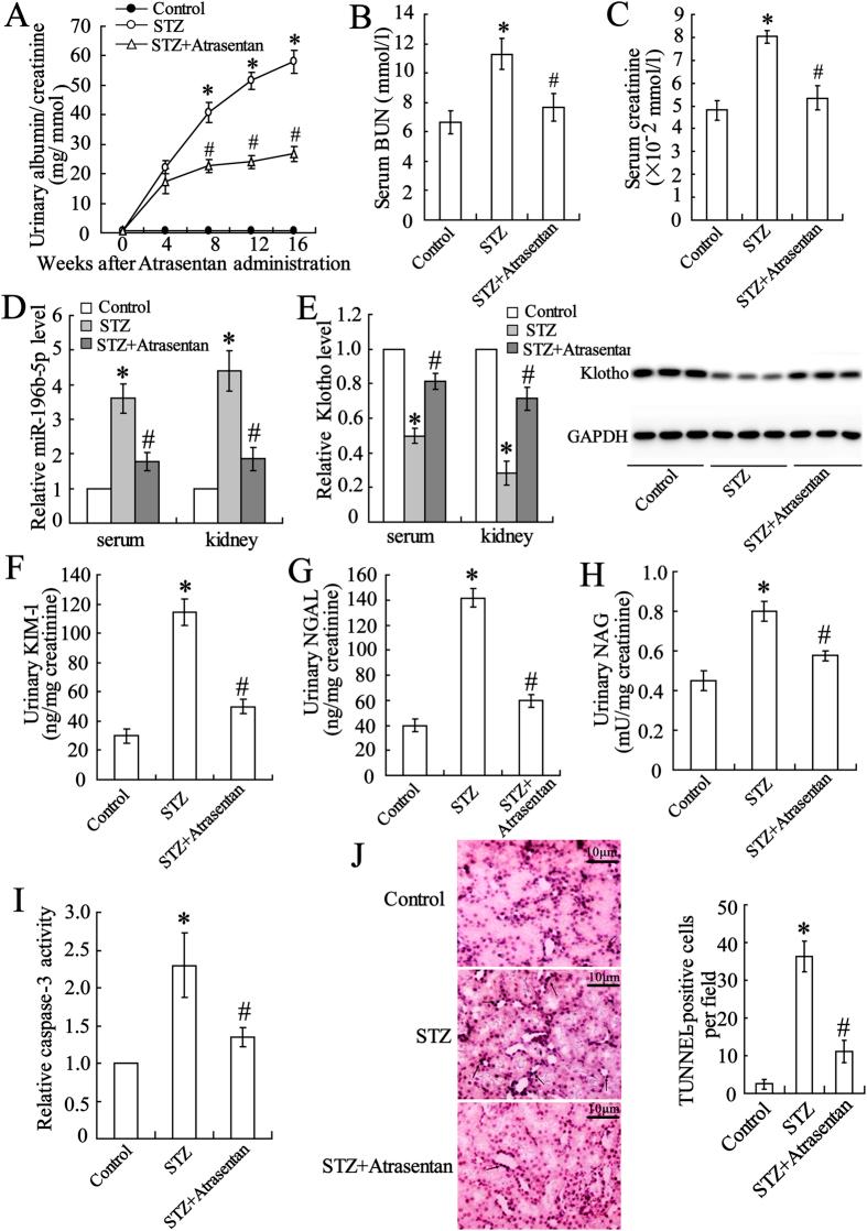 https://cdn.ncbi.nlm.nih.gov/pmc/blobs/8193/4728478/612817a2b1fa/srep19979-f1.jpg