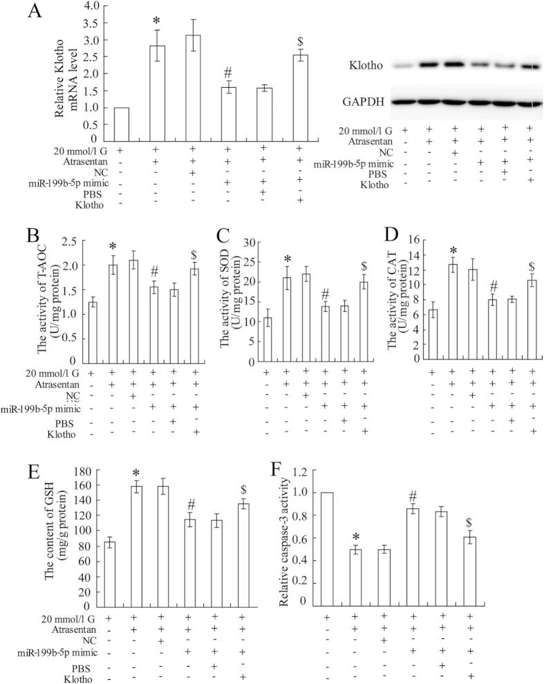 https://cdn.ncbi.nlm.nih.gov/pmc/blobs/8193/4728478/843a7ec8ec6a/srep19979-f6.jpg