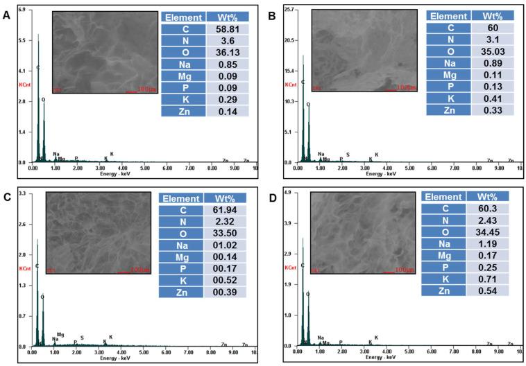 https://cdn.ncbi.nlm.nih.gov/pmc/blobs/8193/8293078/05d309f17f1e/gels-07-00076-g004.jpg