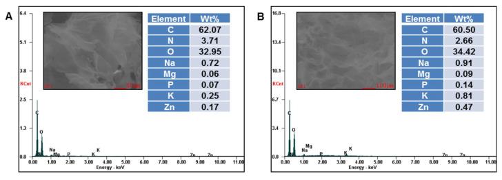 https://cdn.ncbi.nlm.nih.gov/pmc/blobs/8193/8293078/b21e0d15b79a/gels-07-00076-g003a.jpg