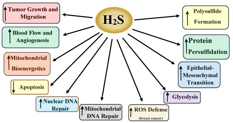 https://cdn.ncbi.nlm.nih.gov/pmc/blobs/8196/8830448/c6a1b36c9486/pathophysiology-28-00028-g004.jpg