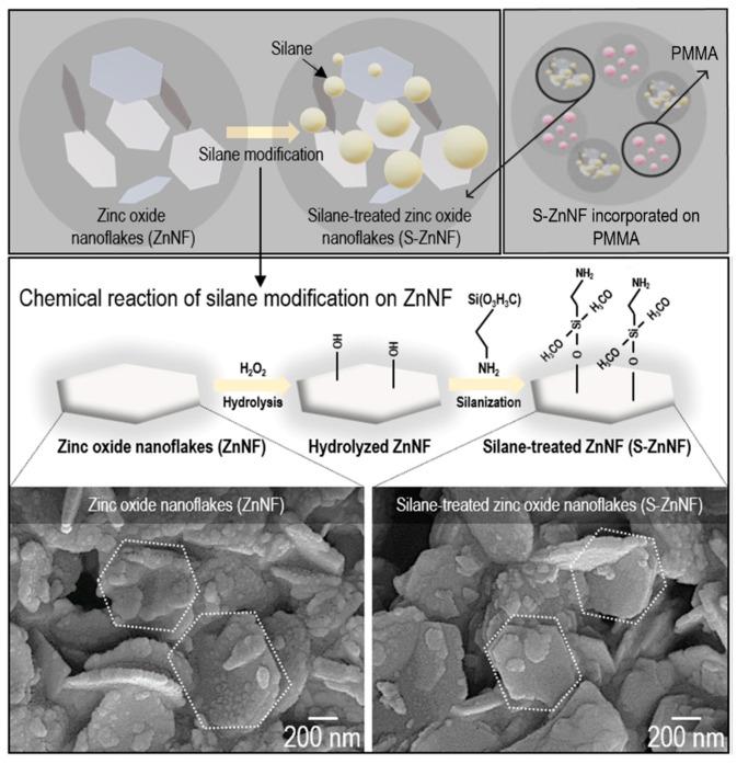 https://cdn.ncbi.nlm.nih.gov/pmc/blobs/8197/10490178/2f8cc88539a3/nanomaterials-13-02406-g005.jpg