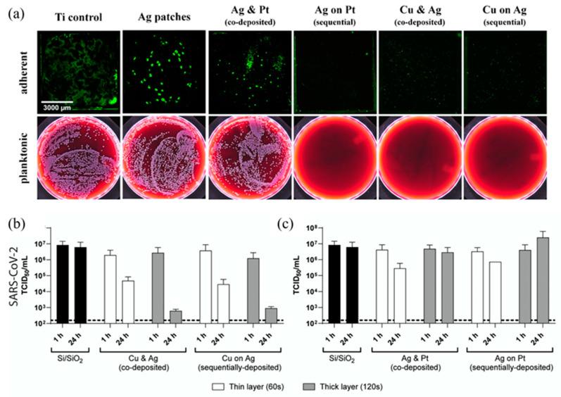 https://cdn.ncbi.nlm.nih.gov/pmc/blobs/8197/10490178/4b3ce3faa4c1/nanomaterials-13-02406-g015.jpg