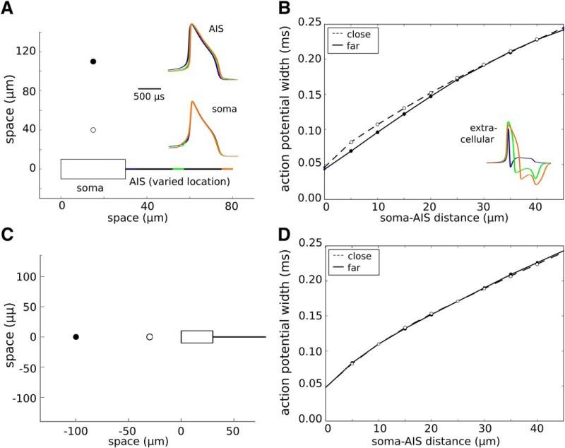 https://cdn.ncbi.nlm.nih.gov/pmc/blobs/8197/5987634/2c916fd96c8d/enu0031826220011.jpg