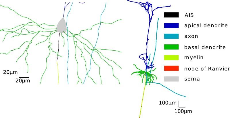 https://cdn.ncbi.nlm.nih.gov/pmc/blobs/8197/5987634/576bc956deb4/enu0031826220001.jpg
